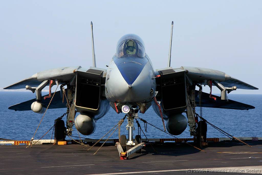 15 CVN71060221 F-14D 164347 AJ-200 DK 02 F-14D 164347/AJ-200 of VF-213 - USS Theodore Roosevelt, 21 February 2006 (C) Didier Kories